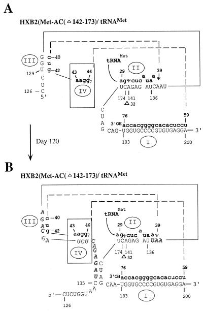 FIG. 7