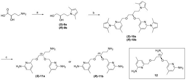 Scheme 3