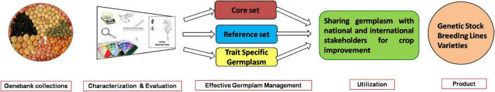 FIGURE 11