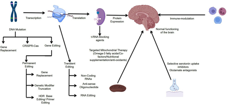 Fig. (2)