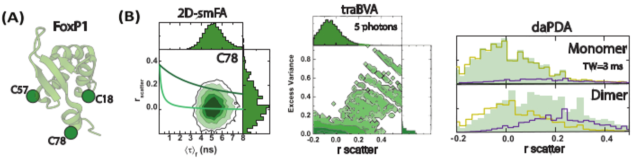 Figure 4: