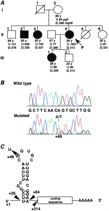 Figure  2