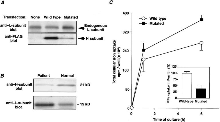 Figure  4