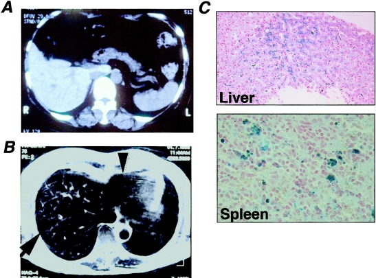 Figure  1