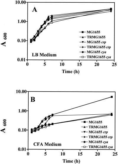 FIG. 2.