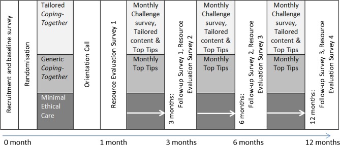 Figure 1