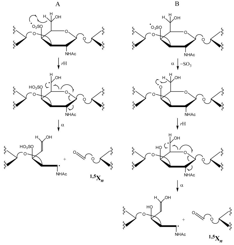 Scheme 2