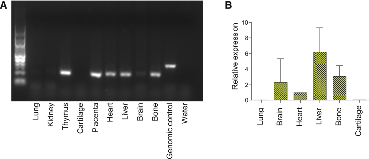 Figure 4