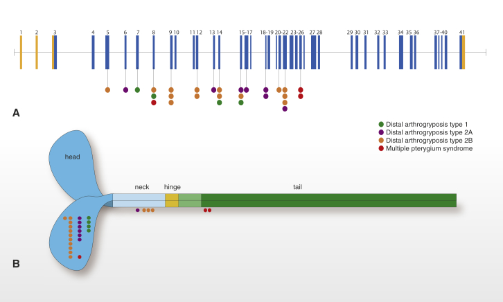 Figure 3