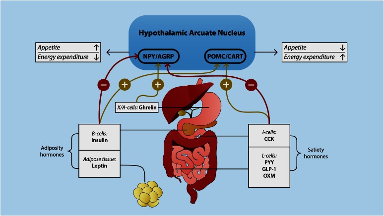 FIGURE 1