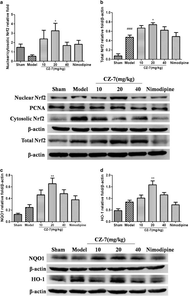 Fig. 10