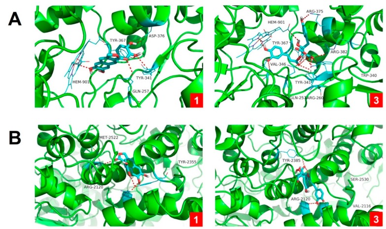 Figure 7