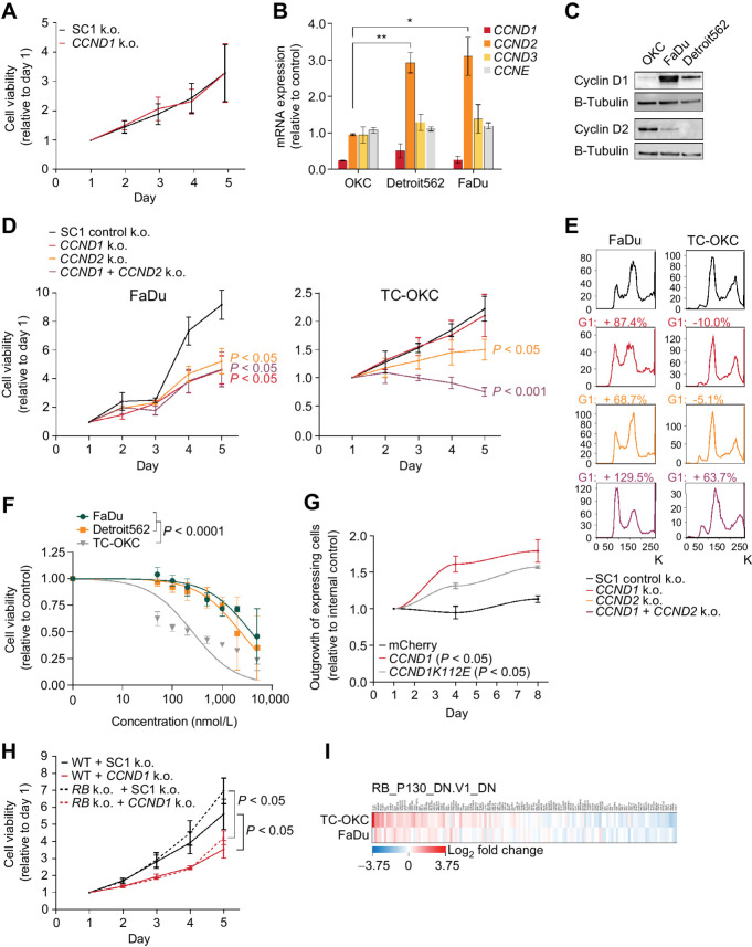 Figure 5. 11q13-mediated amplification of CCND1 rewires CCND1 signaling in SCC. A, Relative cell viability values based on Alamar Blue assay upon CCND1 knockout in TC-OKC. Average doubling times in hours; SC1: 54.9, CCND1: 55.0. B, Gene expression values 96 hours post CCND1 knockout, relative to control (*, P < 0.05; **, P < 0.01). C, Immunoblot for Cyclin D1, Cyclin D2, and B-tubulin. D, Relative cell viability values based on Alamar Blue assay upon knockout of Control SC1, CCND1, CCND2, or CCND1+CCND2 in FaDu cells (left) and TC-OKC (right). Average doubling times for FaDu cells in hours; SC1: 30.0, CCND1: 43.4, CCND2: 40.1, CCND1+CCND2: 43.1. Average doubling times for OKC in hours: SC1: 83.2, CCND1: 89.3, CCND2: 164.3, CCND1+CCND2: not determined due to significant cell loss. E, Cell cycle profile through DNA staining with FxCycle Violet Ready Flow upon knockout of Control SC1, CCND1, CCND2, or CCND1+CCND2 in FaDu cells (left) and TC-OKC (right). F, Dose–response curve fitted to nonlinear regression model in TC-OKC, FaDu, and Detroit562 depicting the effect of Palbociclib treatment for 72 hours (0.5–5 μmol/L). P value calculated with extra sum of square F-test. G, Outgrowth of CCND1-mCherry or CCND1K112E-mCherry overexpressing TC-OKC versus EBFP overexpressing TC-OKC. H, Relative cell viability values based on Alamar Blue assay upon CCND1 knockout in RB1/RBL1/RBL2 knockout FaDu cells. Average doubling times in hours; WT/SC1: 39.6, WT/CCND1: 52.1, RB/SC1: 35.7, RB/CCND1: 46.3. I, RNA-seq expression data on the RB_P130 gene set upon CCND1 knockout in TC-OKC and FaDu cells.