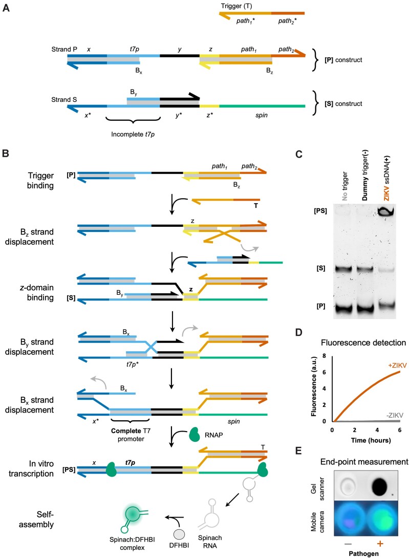 Figure 2.