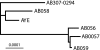 FIG. 2.