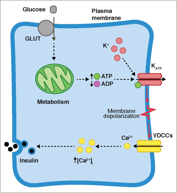 Figure 1.