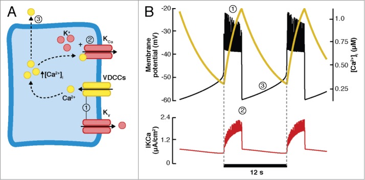 Figure 3.