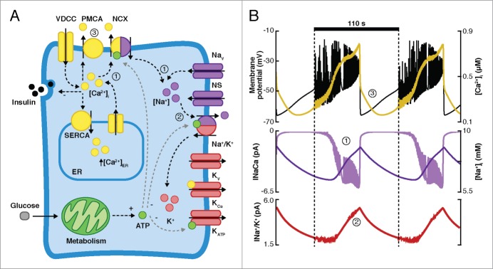 Figure 6.