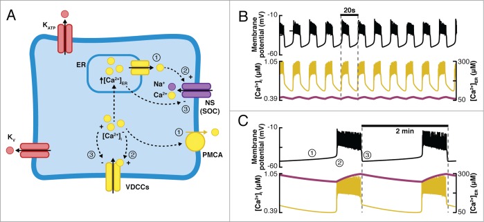 Figure 5.