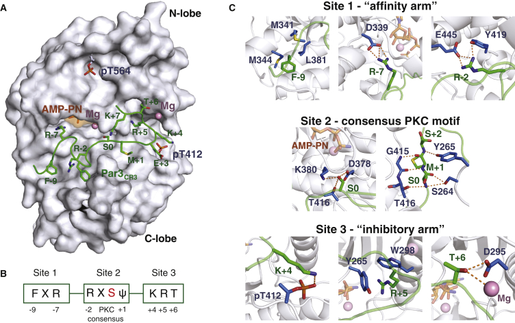 Figure 2