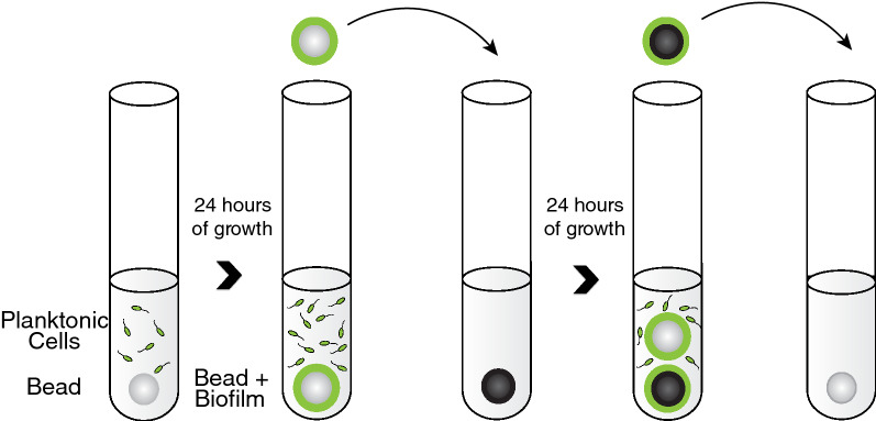 Fig. 1