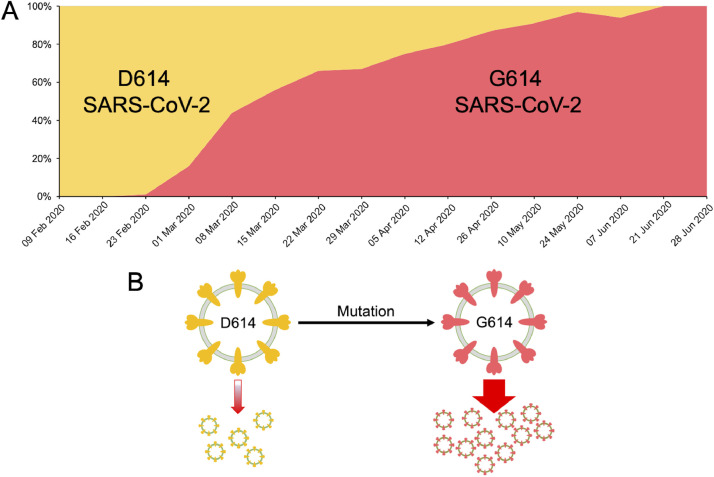 Fig 2: