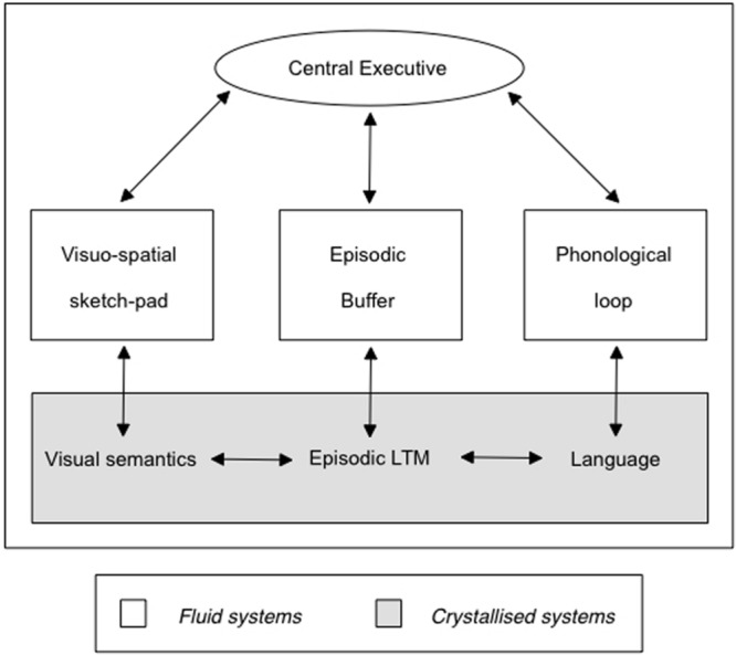 FIGURE 2