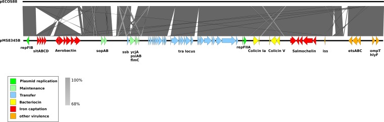 FIG 3