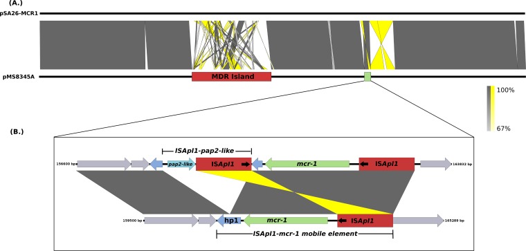 FIG 4