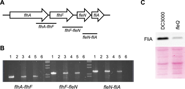 FIG 3