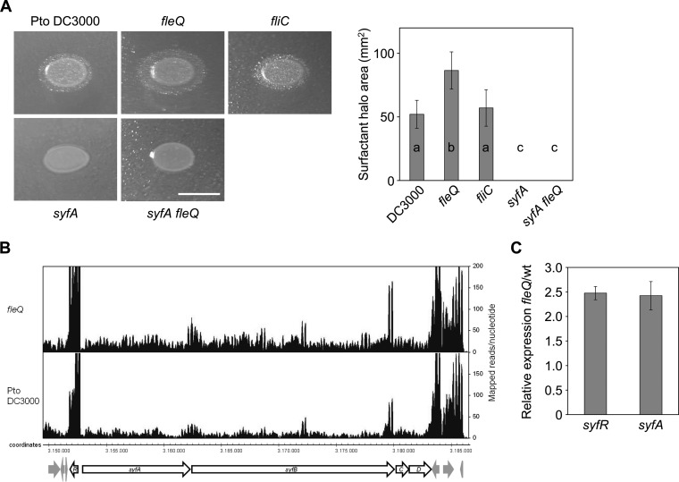 FIG 4