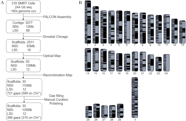 Figure 2: