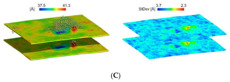 Figure 9