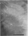 85