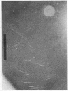 88