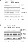 FIG. 8.