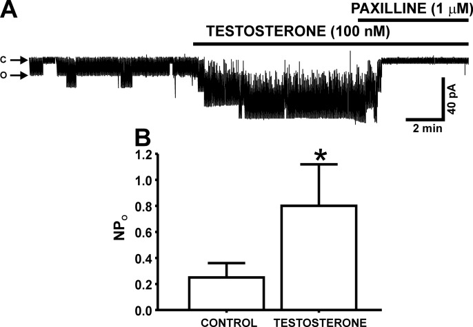 Fig. 3.