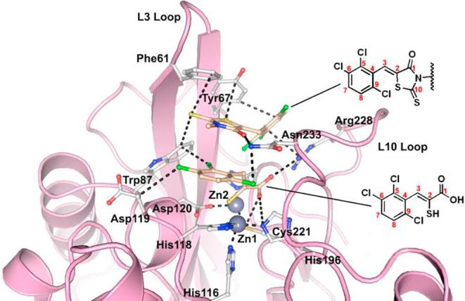 Fig. 2