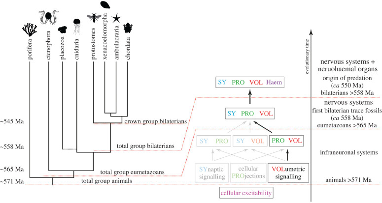 Figure 3. 