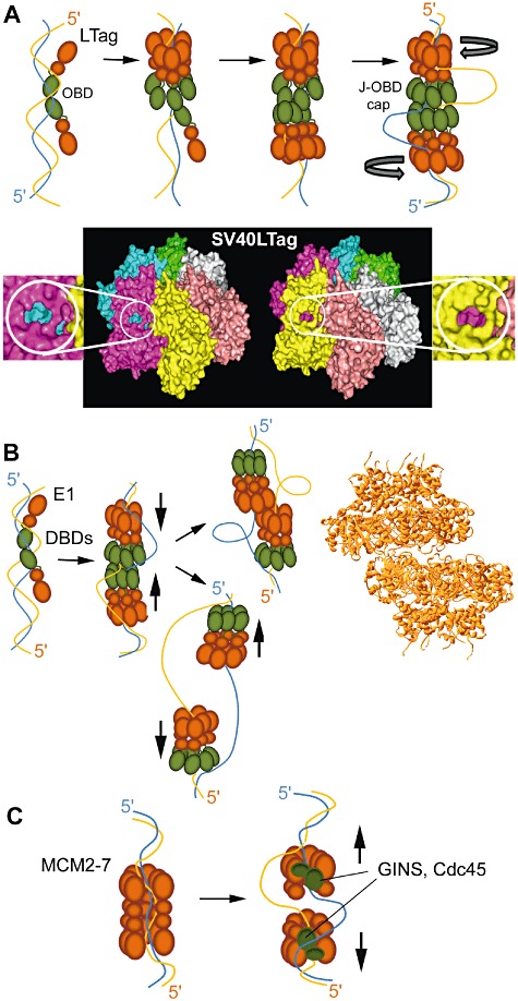 Fig. 4