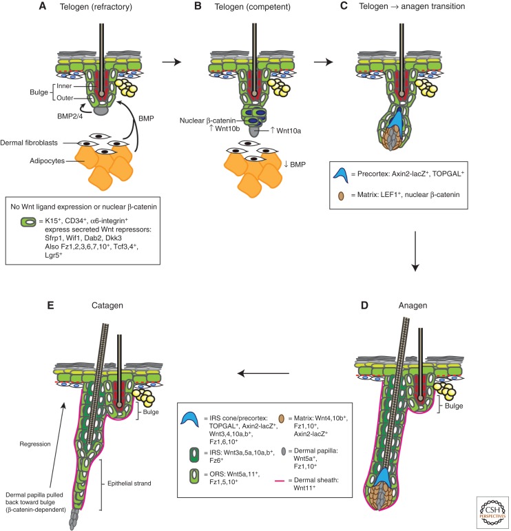 Figure 3.