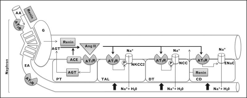 FIGURE 1