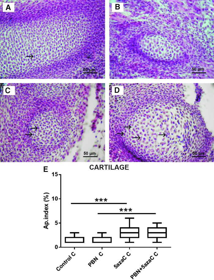 FIG. 8.