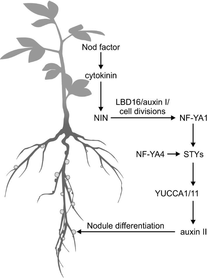 Fig. 13