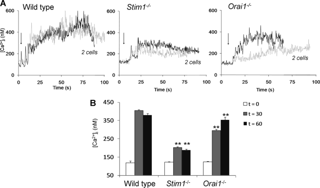 FIGURE 4.