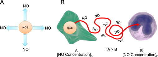 Fig. 5