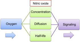 Fig. 10