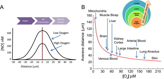 Fig. 6