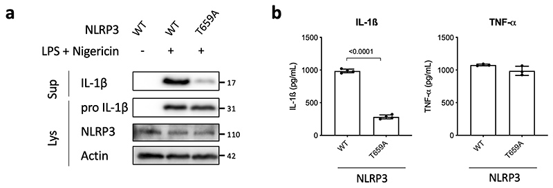 Extended Data Fig. 9