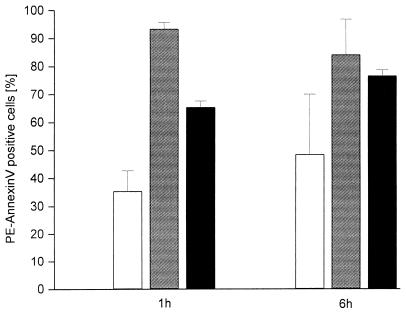 FIG. 10